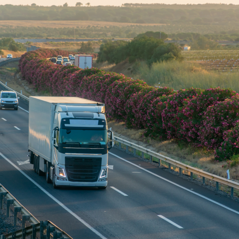 Seçilen Trailer Damper Dorse KONYA (11)